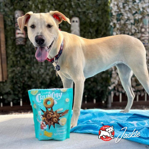 Fromm Crunchy O's Banana Kablammas Dog Treats - Banana - 6oz Bag